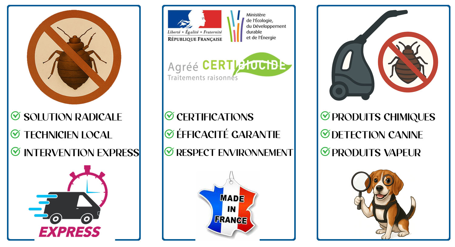 Punaises de Lit Chennevieres sur Marne