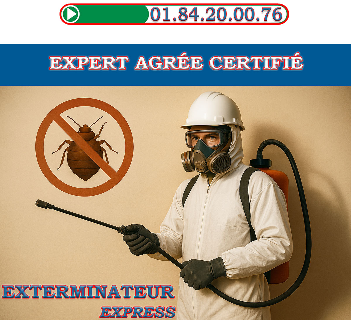 Punaises de Lit Chennevieres sur Marne